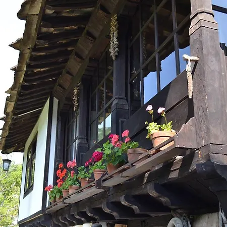 Strannopriemnitsa 3*