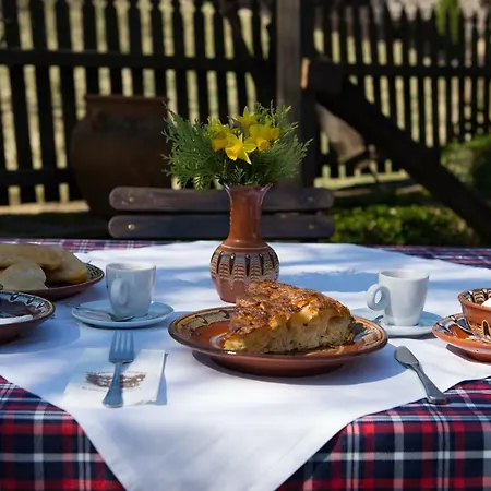 Strannopriemnitsa Guest house 3*